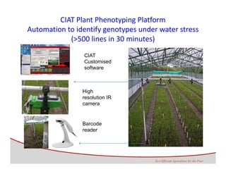 Development of genomics pipelines and its integration with breeding