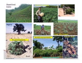 Development of genomics pipelines and its integration with breeding