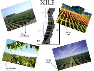 XILE Vall del Maipo Vall del Maule Vall de Curicó Vall de Casablanca 