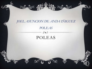 POLEAS JOEL ASUNCION DE ANDA IÑIGUEZ POLEAS 