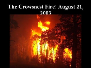 The Crowsnest Fire: August 21, 2003 