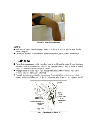 Figura 7 - Vista Medial (sentado)


Marcha
 notar alterações no comprimento do passo, velocidade da marcha, cadência ou desvio
 linear e angular;
 Observar a presença de movimentos anormais da patela, pelve, quadril e tornozelo.



5. Palpação
 Palpação anterior com o joelho estendido (patela, tendão patelar, superfície cartilaginosa
 da patela, músculo Quadríceps e Sartório, lig. colateral medial e pata de ganso, tensor da
 fáscia lata, trato iliotibial e cabeça da fíbula);
 Palpação anterior com o joelho flexionado (linha articular tibiofemural, platô tibial,
 côndilos femorais e músculos adutores);
 Palpação posterior com o joelho ligeiramente flexionado (face posterior, face póstero-
 lateral póstero-medial da artic. do joelho, músculos posteriores da coxa e gastrocnêmio).




                            Figura 8 – Estruturas do Joelho (I)
 