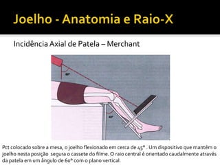 IncidênciaAxial de Patela – Merchant
Pct colocado sobre a mesa, o joelho flexionado em cerca de 45° . Um dispositivo que mantém o
joelho nesta posição segura o cassete do filme.O raio central é orientado caudalmente através
da patela em um ângulo de 60° com o plano vertical.
 