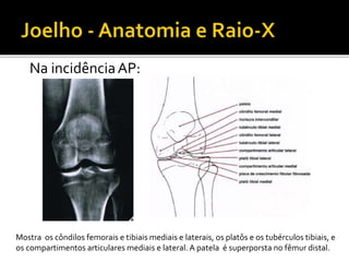 Na incidênciaAP:
Mostra os côndilos femorais e tibiais mediais e laterais, os platôs e os tubérculos tibiais, e
os compartimentos articulares mediais e lateral. A patela é superporsta no fêmur distal.
 
