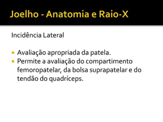 Incidência Lateral
 Avaliação apropriada da patela.
 Permite a avaliação do compartimento
femoropatelar, da bolsa suprapatelar e do
tendão do quadríceps.
 