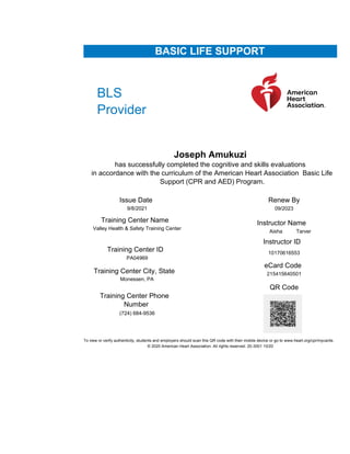 Basic Life Support Cv Example.pdf Joe^LJ Resume January 2023 1.docx