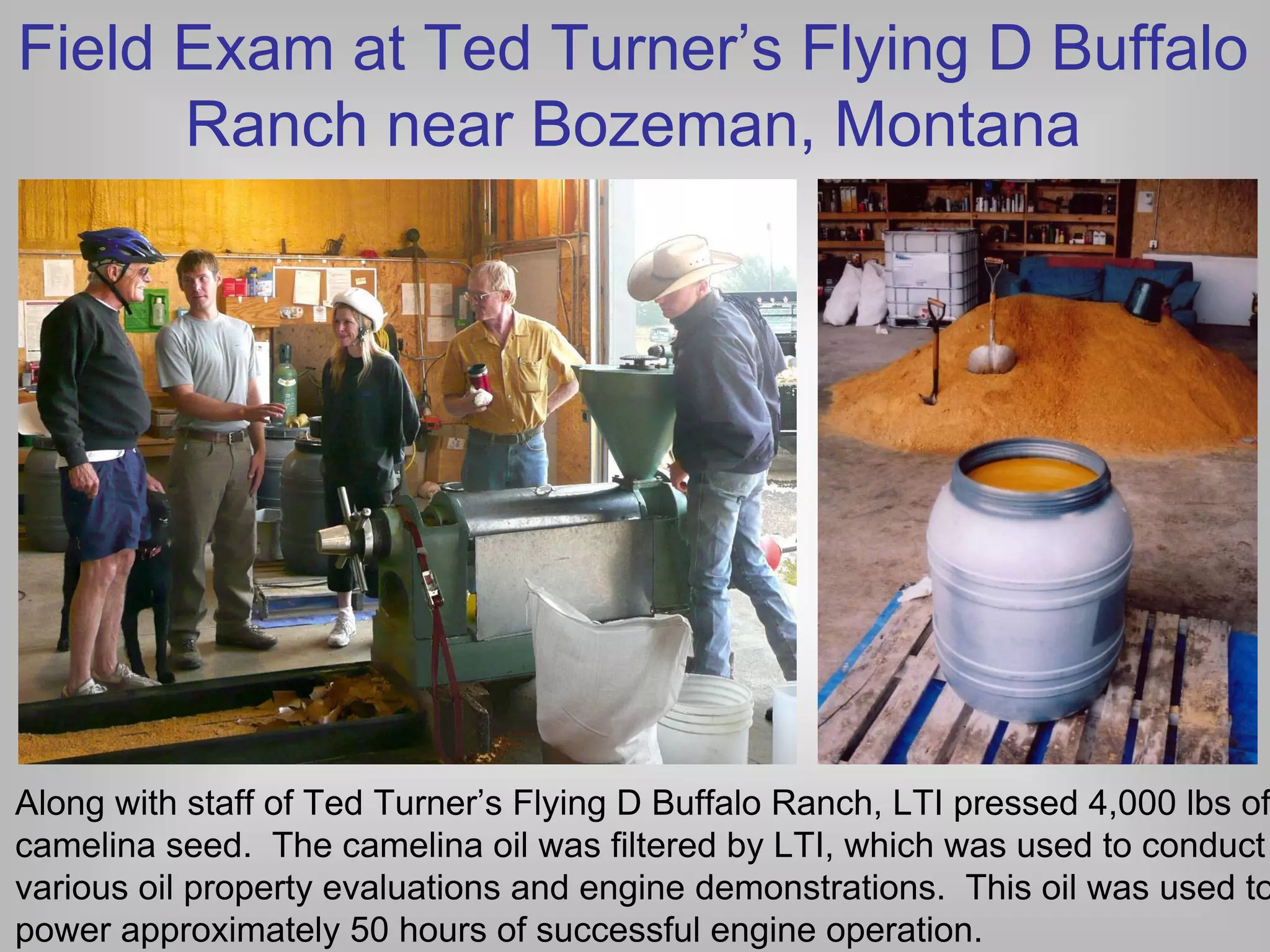 Field Exam at Ted Turner’s Flying D Buffalo
      Ranch near Bozeman, Montana




Along with staff of Ted Turner’s Flying D Buffalo Ranch, LTI pressed 4,000 lbs of
camelina seed. The camelina oil was filtered by LTI, which was used to conduct
various oil property evaluations and engine demonstrations. This oil was used to
power approximately 50 hours of successful engine operation.
 