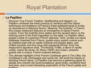 Royal Plantation


Le Papillon




Discover True French Tradition. Spellbinding and elegant, Le
Papillon combines the fresh produce of Jamaica with the classic
techniques and traditions of France's finest establishments to evoke
an abundance of delicious flavors. Meaning "the butterfly" in French,
this unique restaurant features an emergence of classic French
cuisine. From the butterfly show plates and the opulent décor, to the
enticing scent of the fresh baguettes on the table, Le Papillon offers
guests a taste of customary French splendor. Here, amidst cut-velvet
wallpaper imported from France, guests enjoy superb cuisine such
as roasted quail with an apple compote and pepper glaze, and
chilled avocado and lime soup with peppered shrimp. Even the
restaurant's signature drink, The Brandy Truffle, a blend of vanilla
vodka, créme de cacao, St. Remy VSOP, and cream, presents
guests with a unique, French-inspired delicacy.
The ultimate highlight of this French-Caribbean gem is The CBar, the
Caribbean's only champagne and caviar bar. Set amid the beauty of
dazzling French décor, Le Papillon has become a gathering place for
people who cherish old world excellence, good times, wonderful food
and wine, and a most interesting exploration of the French palate and

 