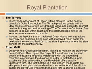 Royal Plantation


The Terrace






Discover An Assortment of Flavor. Sitting elevated, in the heart of
Jamaica's Ocho Rios region, The Terrace provides guests with an
ideal respite complete with jaw-dropping views and exquisite, gourmet
cuisine. In the great outdoor setting of The Terrace, the Caribbean Sea
appears to be just within reach and the colorful foliage makes the
serene venue even more romantic.
Indoors, the layout is that of traditional Great House with a gracious
entryway and spacious dining area with massive French doors that
celebrate the view and lead out to the stunning terrace where the stars
bring to life the night's energy.

Royal Grill


Discover Feel-Good Sophistication. Making its mark on the stunningly
beautiful Ocho Rios region, the Royal Grill overlooks a white sand
beach and dazzling turquoise waterscape with the undulating
mountains gleaming in the distance. In order to match the superb
excellence of its surroundings, the Royal Grill offers equally
impressive fare. The fact that this is a grill, doesn't mean chefs are
skimpy on the sophistication when it comes to the food. After all, it is
called, the Royal Grill where traditional grill fare is offered alongside

 