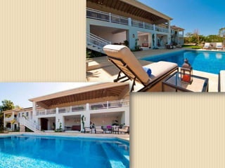 Joel Jamaica Options