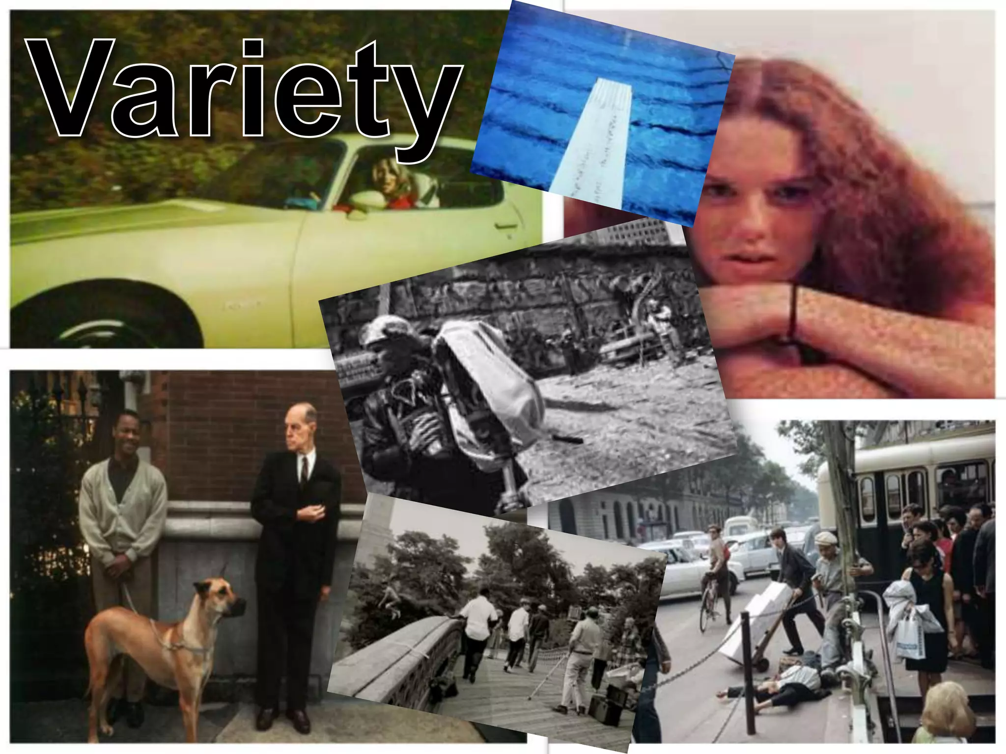 Meyerowitz / Catsavis