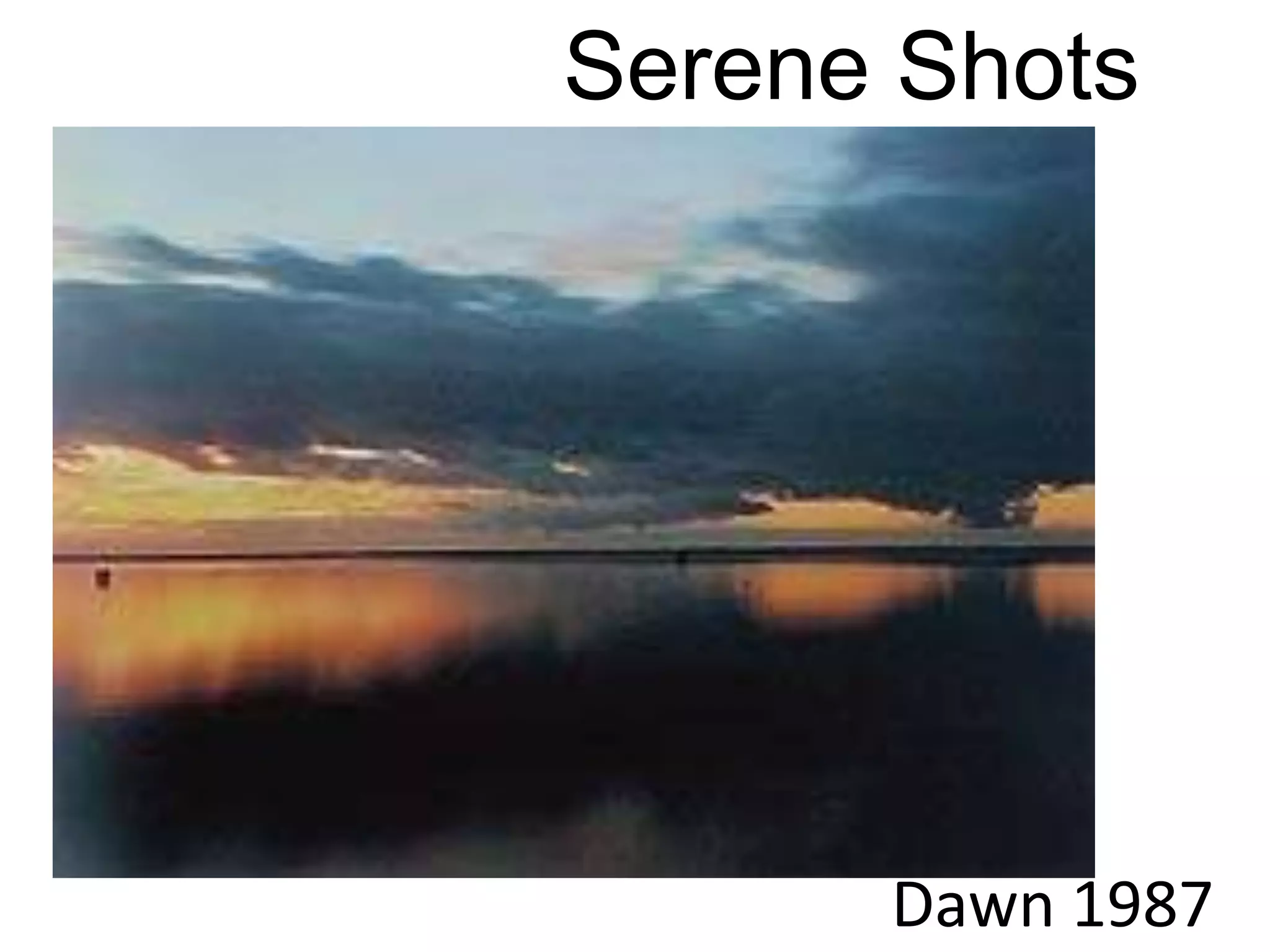 Meyerowitz / Catsavis