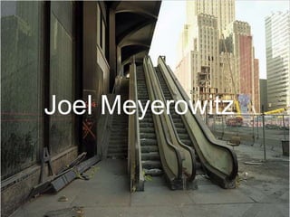 Joel Meyerowitz
Joel Meyerowitz
 