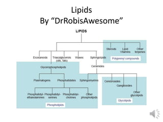 Lipids
By “DrRobisAwesome”
 