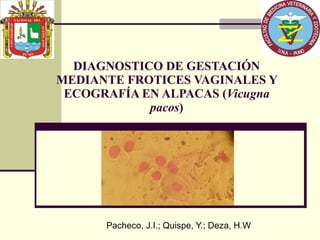 DIAGNOSTICO DE GESTACIÓN MEDIANTE FROTICES VAGINALES Y ECOGRAFÍA EN ALPACAS ( Vicugna pacos ) Pacheco, J.I.; Quispe, Y.; Deza, H.W 
