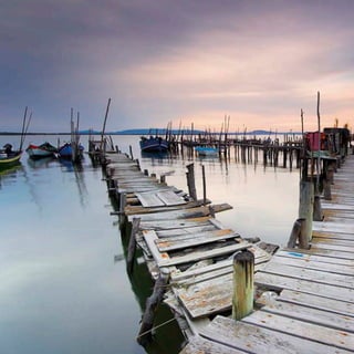 Joel Santos Fotografia