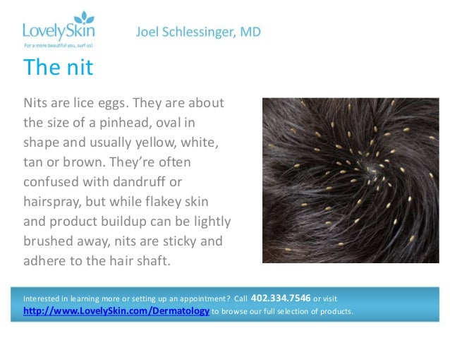 Joel Schlessinger Md Faq Head Lice