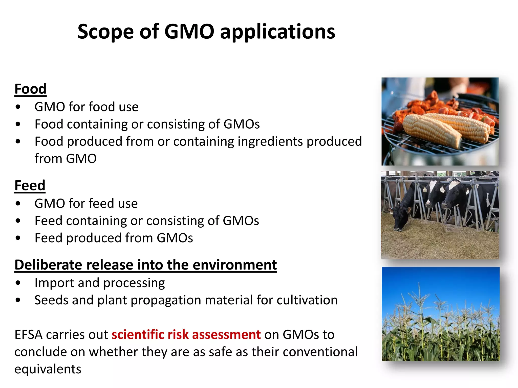 Scope of GMO applications
Food
• GMO for food use
• Food containing or consisting of GMOs
• Food produced from or containing ingredients produced
from GMO
Feed
• GMO for feed use
• Feed containing or consisting of GMOs
• Feed produced from GMOs
Deliberate release into the environment
• Import and processing
• Seeds and plant propagation material for cultivation
EFSA carries out scientific risk assessment on GMOs to
conclude on whether they are as safe as their conventional
equivalents
 
