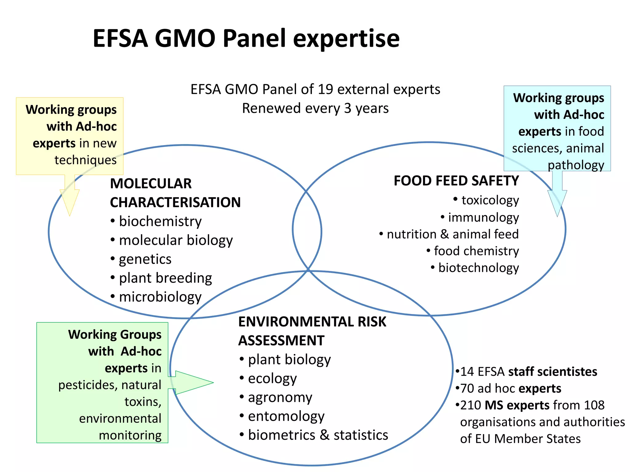 EFSA GMO Panel expertise
MOLECULAR
CHARACTERISATION
• biochemistry
• molecular biology
• genetics
• plant breeding
• microbiology
FOOD FEED SAFETY
• toxicology
• immunology
• nutrition & animal feed
• food chemistry
• biotechnology
ENVIRONMENTAL RISK
ASSESSMENT
• plant biology
• ecology
• agronomy
• entomology
• biometrics & statistics
Working groups
with Ad-hoc
experts in new
techniques
Working Groups
with Ad-hoc
experts in
pesticides, natural
toxins,
environmental
monitoring
Working groups
with Ad-hoc
experts in food
sciences, animal
pathology
•14 EFSA staff scientistes
•70 ad hoc experts
•210 MS experts from 108
organisations and authorities
of EU Member States
EFSA GMO Panel of 19 external experts
Renewed every 3 years
 