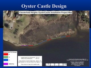 Oyster Castle Design
 