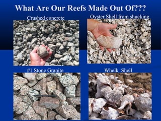 What Are Our Reefs Made Out Of???
Oyster Shell from shuckingCrushed concrete
Whelk Shell#1 Stone Granite
Oyster Shell from shuckingCrushed concrete
#1 Stone Granite
Oyster Shell from shuckingCrushed concrete
Whelk Shell#1 Stone Granite
Oyster Shell from shuckingCrushed concrete
 