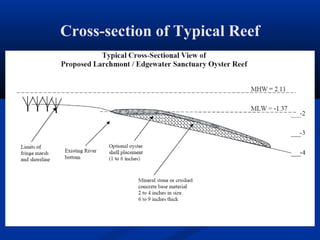Cross-section of Typical Reef
 
