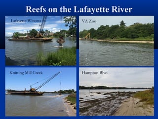 Reefs on the Lafayette River
Lafayette Winona VA Zoo
Knitting Mill Creek Hampton Blvd
 