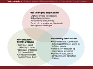 The focus on food – Trade-off analysis – Measuring biodiversity – Scale issues – Framing problems
 
