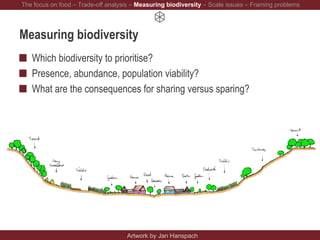 Measuring biodiversity
Which biodiversity to prioritise?
Presence, abundance, population viability?
What are the consequences for sharing versus sparing?
Artwork by Jan Hanspach
The focus on food – Trade-off analysis – Measuring biodiversity – Scale issues – Framing problems
 