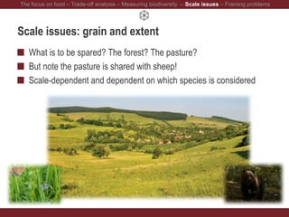 Scale issues: grain and extent
What is to be spared? The forest? The pasture?
But note the pasture is shared with sheep!
Scale-dependent and dependent on which species is considered
The focus on food – Trade-off analysis – Measuring biodiversity – Scale issues – Framing problems
 