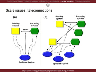 Scale issues: teleconnections
http://www.ecologyandsociety.org/vol18/iss2/art26/figure3.html
The focus on food – Trade-off analysis – Measuring biodiversity – Scale issues – Framing problems
 