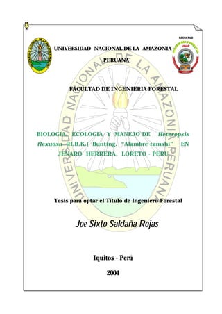 UNIVERSIDAD NACIONAL DE LA AMAZONIA
PERUANA

FACULTAD DE INGENIERIA FORESTAL

BIOLOGIA, ECOLOGIA Y MANEJO DE

Heteropsis

flexuosa (H.B.K.) Bunting. “Alambre tamshi”

EN

JENARO HERRERA, LORETO - PERU

Tesis para optar el Título de Ingeniero Forestal

Joe Sixto Saldaña Rojas
Iquitos - Perú
2004

 