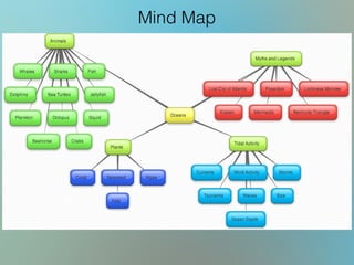Mind Map
 
