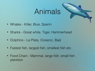 Animals
• Whales - Killer, Blue, Sperm
• Sharks - Great white, Tiger, Hammerhead
• Dolphins - La Plata, Oceanic, Baiji
• Fastest fish, largest fish, smallest fish etc.
• Food Chain - Mammal, large fish, small fish ,
plankton
 
