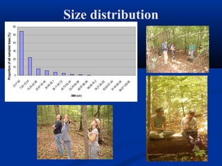 Proportion of all sampled trees (%)




                                        10
                                              20
                                                    30
                                                          40
                                                                50
                                                                      60




                                  0
                  2.5
                      -7
                          .62
              7.6
                  3-
                     15
                         .2
            15              4
               .25
                   -22
                        .86
            22
               .87
                   -30
                        .48
              30
                 .49
                      -38
            38             .1
               .11
                   -45
                        .72
            45
               .73
                   -53
                        .34
            53
               .35
                   -60
                        .96
            60




DBH (cm)
               .97
                   -68
                        .58
              68
                 .59
                      -76
            76             .2
               .21
                   -83
                        .82
            83
               .83
                   -91
                        .44
            91
               .45
                   -99
           99           .06
             .07
                 -10
                      6.6
                           8
                                                                           Size distribution
 