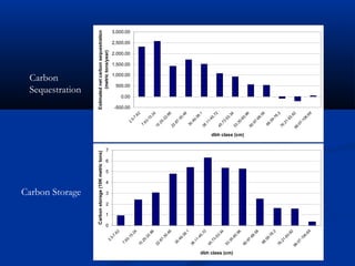 Carbon




                                                Carbon Storage
                                                                                                                                  Sequestration
                                    Carbon storage (10K metric tons)                                                 Estimated net carbon sequestration




                                    0
                                        1
                                            2
                                                  3
                                                                 4
                                                                     5
                                                                         6
                                                                             7
                      2.                                                                                                     (metric tons/year)
                         5-
                           7.
                             62
                   7.
                      63
                                                                                                                                               1,000.00
                                                                                                                                                          1,500.00
                                                                                                                                                                     2,000.00
                                                                                                                                                                                2,500.00
                                                                                                                                                                                                3,000.00




                                                                                                                     -500.00
                                                                                                                                      500.00

                                                                                                                               0.00




                        -1                                                                             2.
                          5.                                                                              5-
                             24                                                                             7.
                                                                                                              62
                  15
                     .2                                                                              7.
                       5-                                                                               63
                         22                                                                                -1
                           .8                                                                                5.
                              6                                                                                 24
                  22                                                                               15
                     .8                                                                                .2
                       7-                                                                                 5-
                         30                                                                                 22
                           .4                                                                                 .8
                              8                                                                                  6
                                                                                                   22
                   30                                                                                  .8
                       .4                                                                                 7-
                         9-                                                                                 30
                           38                                                                                 .4
                             .1                                                                                  8
                                                                                                     30
                  38                                                                                     .4
                     .1                                                                                    9-
                        1-                                                                                   38
                          45                                                                                    .1
                            .7
                              2                                                                    38
                                                                                                       .1
                  45                                                                                      1-
                     .7                                                                                     45
                        3-                                                                                    .7
                          53                                                                                     2
                            .3                                                                     45
                              4                                                                        .7
                                                                                                          3-
                  53                                                                                        53
                     .3                                                                                       .3




dbh class (cm)
                        5-                                                                                       4
                          60                                                                       53
                            .9                                                                         .3
                              6                                                                           5-
                                                                                 dbh class (cm)




                  60                                                                                        60
                                                                                                              .9
                     .9
                        7-                                                                                       6
                          68                                                                       60
                            .5                                                                         .9
                              8                                                                           7-
                                                                                                            68
                                                                                                              .5
                    68                                                                                           8
                        .5                                                                           68
                          9-
                            76                                                                           .5
                               .2                                                                          9-
                                                                                                             76
                  76                                                                                            .2
                      .2                                                                           76
                         1-
                           83                                                                          .2
                                                                                                          1-
                             .8                                                                             83
                                2                                                                             .8
                 99                                                                               99             2
                    .0                                                                               .0
                       7-                                                                               7-
                          10                                                                               10
                                                                                                                                                                                 Tree size and carbon dynamics




                            6.                                                                               6.
                              68                                                                                68
 