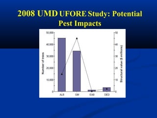 2008 UMD UFORE Study: Potential
          Pest Impacts
 