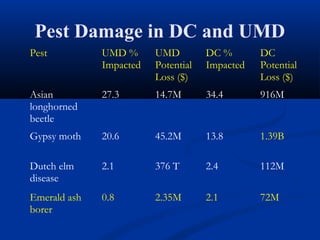 Pest Damage in DC and UMD
Pest          UMD %      UMD         DC %       DC
              Impacted   Potential   Impacted   Potential
                         Loss ($)               Loss ($)
Asian         27.3       14.7M       34.4       916M
longhorned
beetle
Gypsy moth    20.6       45.2M       13.8       1.39B

Dutch elm     2.1        376 T       2.4        112M
disease
Emerald ash   0.8        2.35M       2.1        72M
borer
 