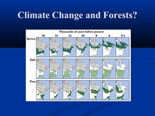 Climate Change and Forests?
 