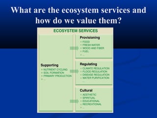 What are the ecosystem services and
     how do we value them?
 