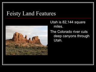 Feisty Land Features  Utah is 82,144 square miles. The Colorado river cuts deep canyons through Utah. 