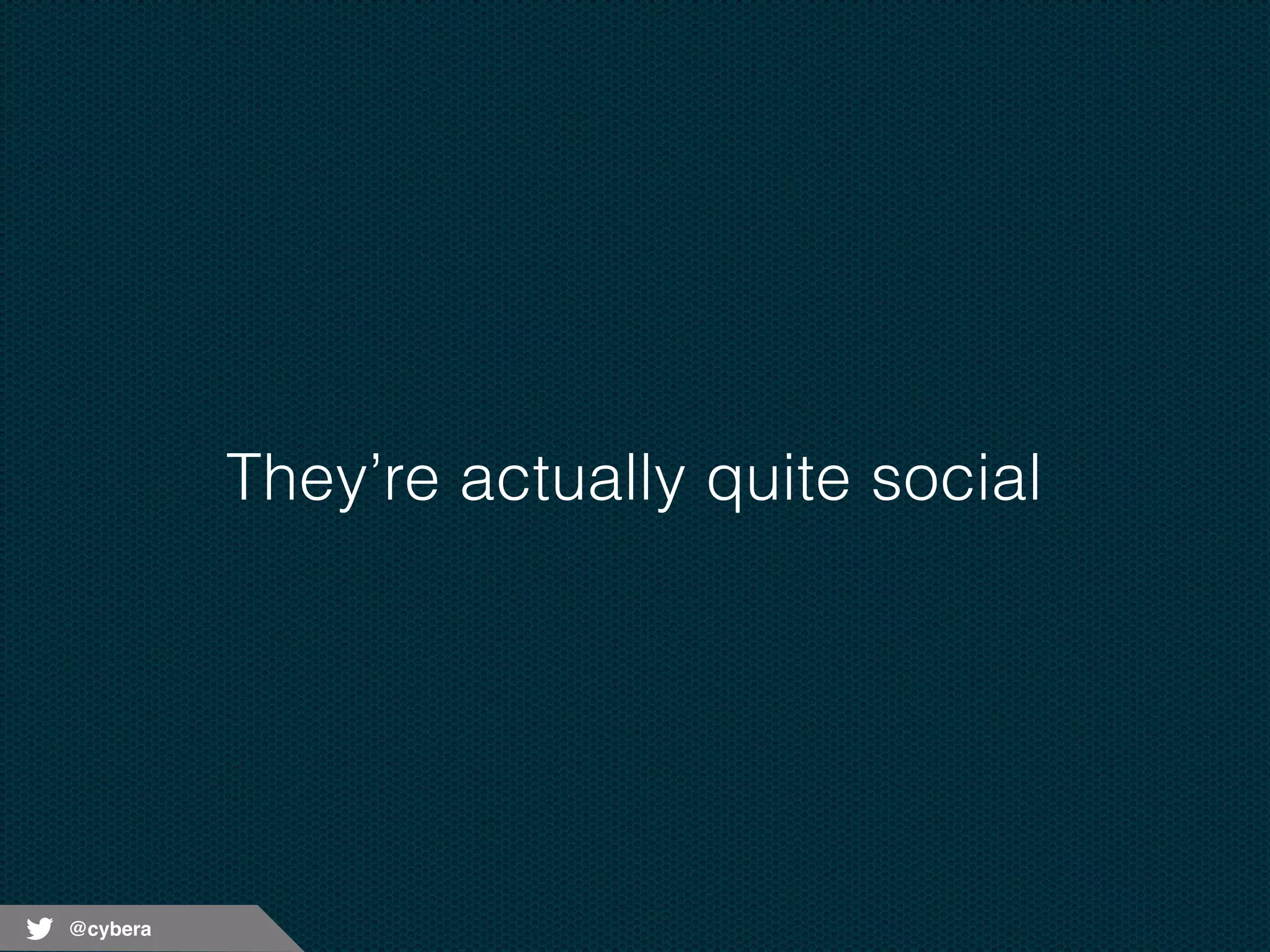 @cybera 
They’re actually quite social 
 