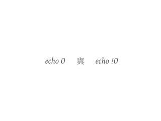 echo 0 與 echo !0
 