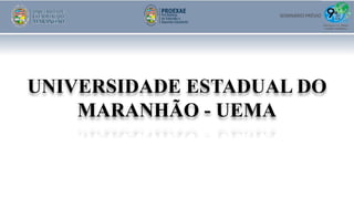 UNIVERSIDADE ESTADUAL DO
MARANHÃO - UEMA
SEMINÁRIO PRÉVIO
 
