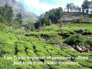 Fair Trade Importer of premium coffees  and teas from exotic locations 