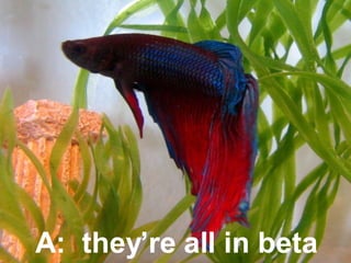 A:  they’re all in beta 