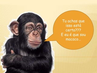 Tu achas que
   isso está
   certo???
E eu é que sou
   macaco…
 