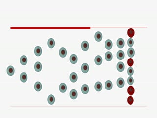 Jogo de Biologia Celular