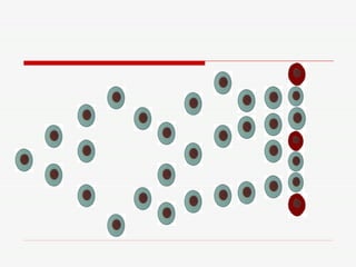Jogo de Biologia Celular