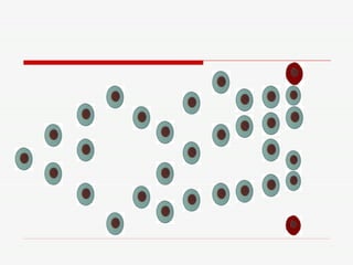 Jogo de Biologia Celular